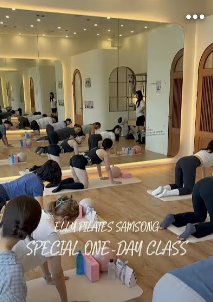 ELLY PILATES SAMSONG 스페셜 원데이 클래스, 매트 동작
